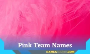Pink Team Names Ideas