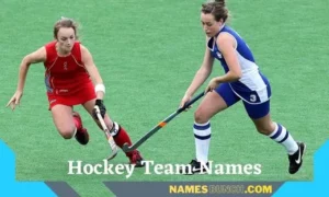Hockey Team Names