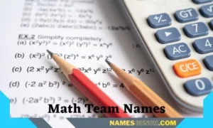 Math Team Names