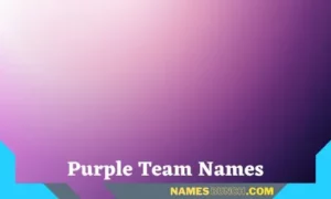 Purple Team Names