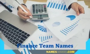 Finance Team Names