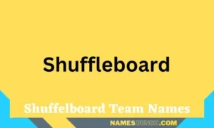 Shuffelboard Team Names