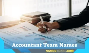 Accountant Team Names