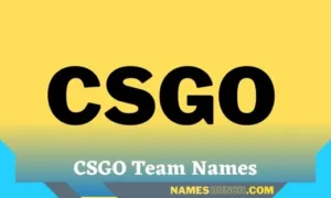 CSGO Team Names