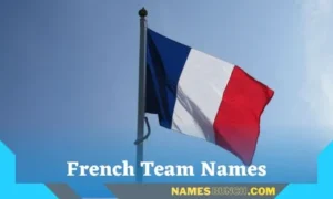 French Team Names