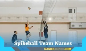 Spikeball Team Names